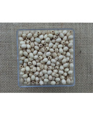 SACO 1000 CT MADEIRA OVAL 6X8MM