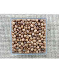 SACO 1000 CT MAD OLIVEIRA OVAL 6X8MM