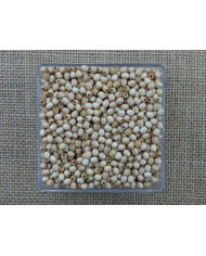 SACO 1000 CT MADEIRA OVAL 5X6MM