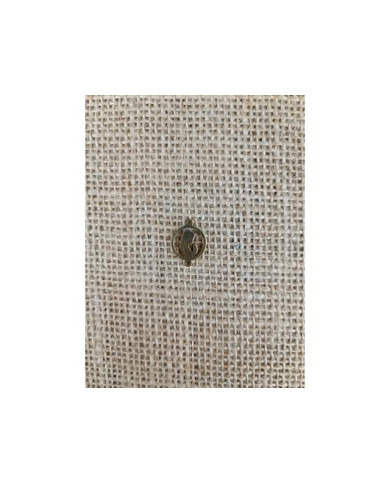 PATTER INOX 12MM REDONDO BUSTO