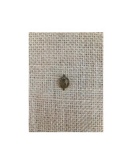 PATTER INOX 12MM REDONDO BUSTO