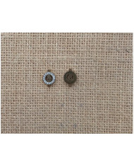 PATTER INOX 12MM BUSTO BRILHANTES